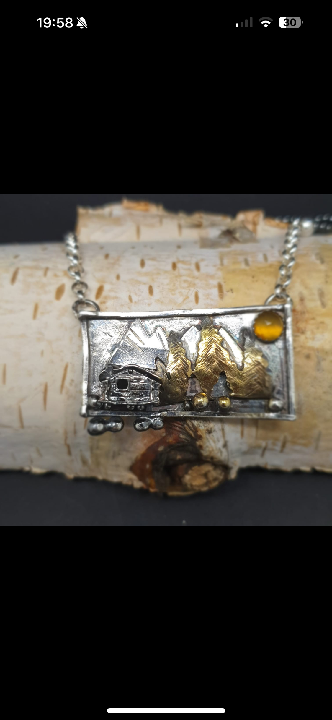 Home in the mountains 72